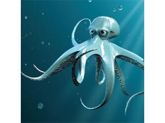 tako_1