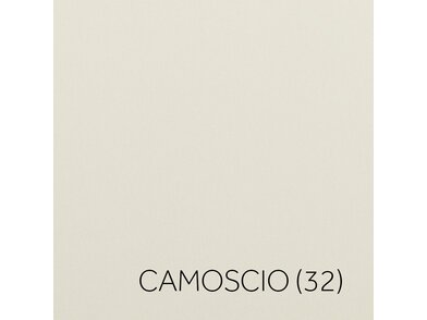 dalicamoscio