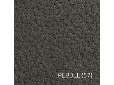 PEBBLE