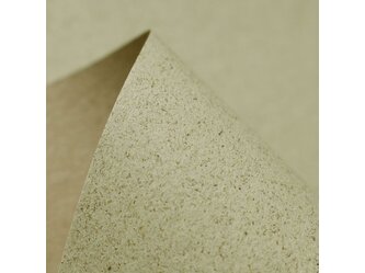 SH-Recycling-Grass-01