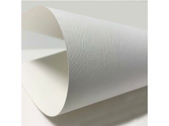 CSL-WHITE_1