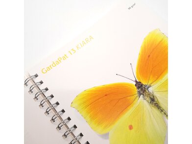 kiara-13