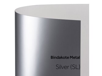 SL_1