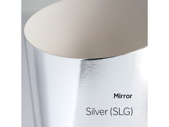 SILVER_5