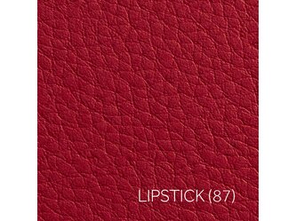 LIPSTICK_3