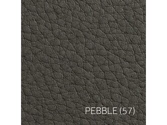 PEBBLE_3