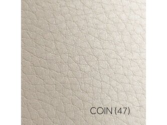 COIN_2