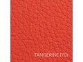 TANGERINE_2