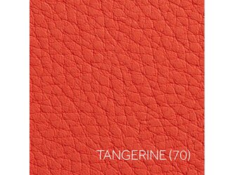 TANGERINE_2