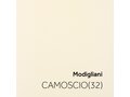 CAMOSCIO_4