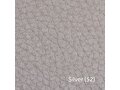 Silver (52)