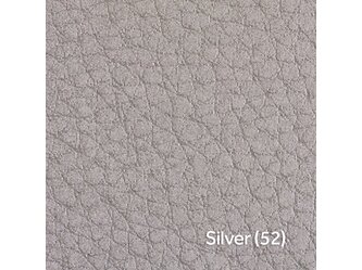 Silver (52)