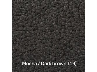 Mocha_Dark brown  (19)