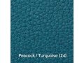 Peacock_Turquoise  (24)