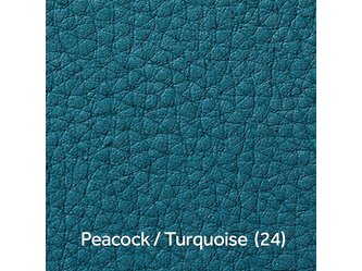 Peacock_Turquoise  (24)