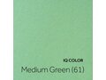 IQ COLOR - Medium Green (61)