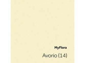 myFlora_Avorio (14)