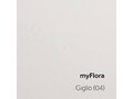 myFlora_Giglio (04)