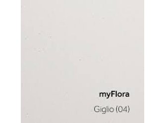myFlora_Giglio (04)