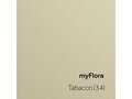 myFlora_Tabacco (34)