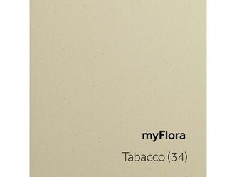 myFlora_Tabacco (34)