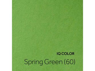 IQ COLOR - Spring Green (60)_1