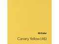 IQ COLOR - Canary Yellow (46)_9