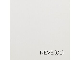DALI_Neve (01)