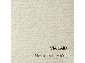 VIA LAID_Natural white (01)