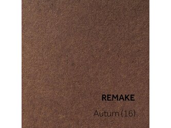 REMAKE_Autumn (16)