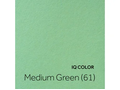 EuropapierAdria_IQColor_MediumGreen (61)