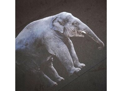 ELEFANTENHAUT-04