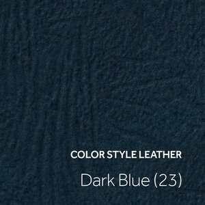 Color Style Leather