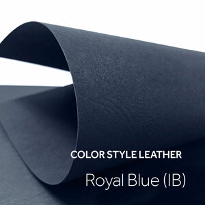 Color Style Fresh Leather