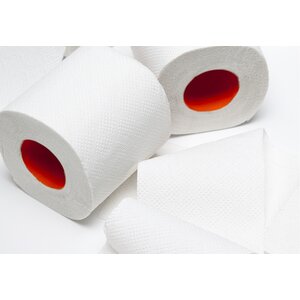 SAVE PLUS dvoslojni toaletni papir u rolici 9,80x11cm